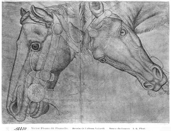 Heads of horses, from the The Vallardi Album