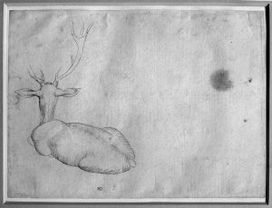 Resting stag, seen from behind, from the The Vallardi Album