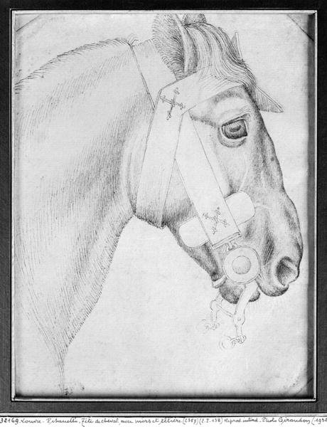 Head of a horse, from the The Vallardi Album 3