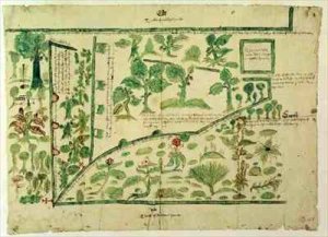 Map Showing Part of the Manor of Shawe Berkshire England