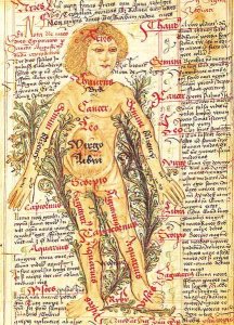 Influence of the stars on illnesses of the human body, from 'Tractatus de Pestilencia'