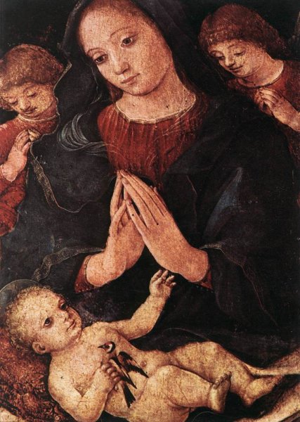 Madonna del Cardellino