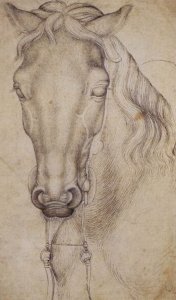 Study of the Head of a Horse 1437-38