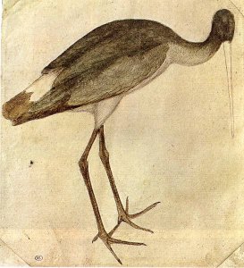 Stork 1430s