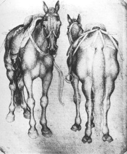 Horses 1433-38