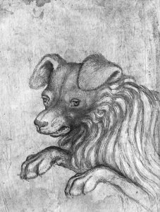 Head of a dog, from the The Vallardi Album