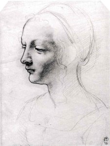 Study for a Portrait of a Woman