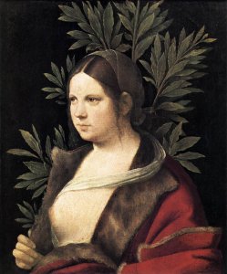 Portrait of a Young Woman (Laura) 1506