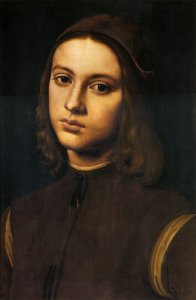 Portrait of a Young Man (detail) 1495